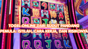 Togel Online dari Sudut Pandang Pemula: Istilah, Cara Kerja, dan Risikonya